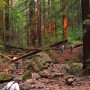 Traversing Redwood Creek. Probably impassable in winter.